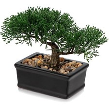 Kunstbonsai Zeder Kiefer