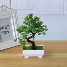 Mini Bonsai Baumspiel