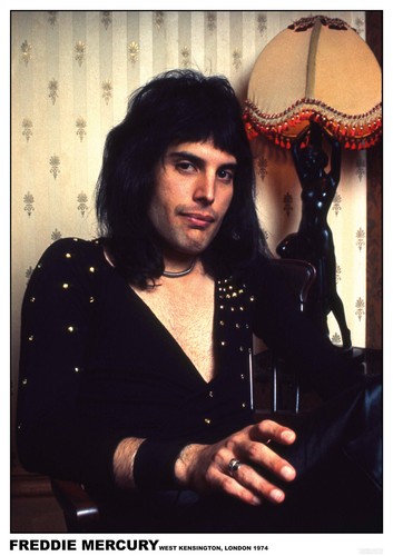 Queen poster freddie mercury - poster,