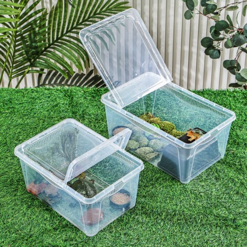 Reptilien aufzuchtbox aus - aufzuchtbox,