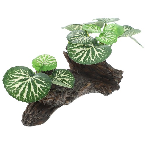 Terrarium zubehör - terrarium,