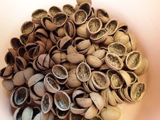 500  Walnussschalen hälften Dekoration Floristik Basteln Bemalen  ohne Spelzen !