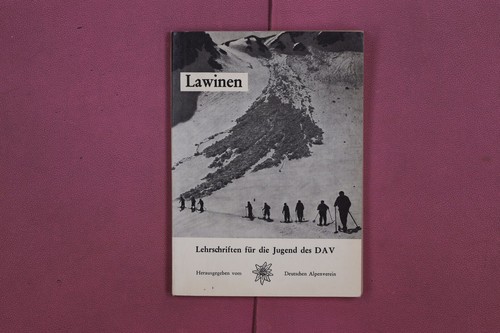 328260 albert gayl lawinen - albert,