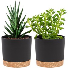 Pflanztöpfe 2er Pack