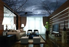 3D Krähen Mond Baum 5