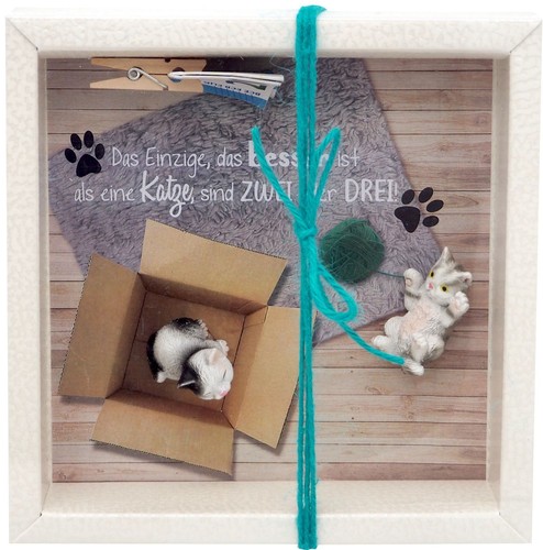 Geldgeschenk verpackung katzen - geldgeschenk,
