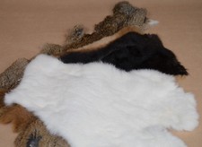 Kaninchenfell Bastelfelle Felle zum Basteln Kanin kleine Einzelfelle F26