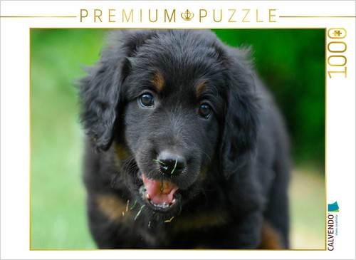 Calvendo puzzle hovawart - puzzle,