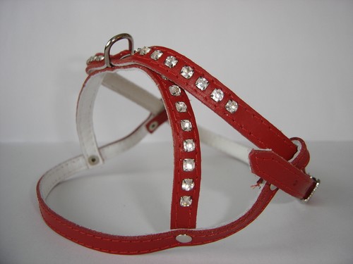 Hundegeschirr geschirr - -,