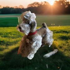 Teddy Hermann Original,  Pudel