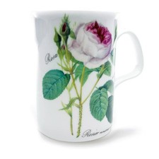 1 Blüte Becher Lancaster