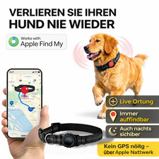 Hundehalsband für Apple