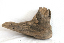 Schwemmholz Treibholz Skulptur
