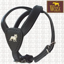 Premium Hundegeschirr