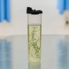 Tupperware Eidgenosse rund 1,1