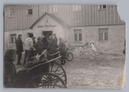 Frauenstein schlittenfahrt - frauenstein,