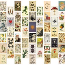 Wanddeko Kit 50 Stück