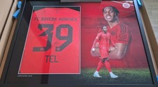 Limitierter Trikotrahmen Mathys Tel Fc Bayern
