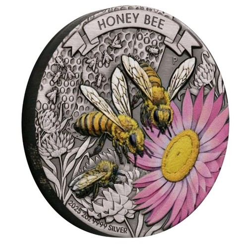 Dollar honey bee - 2,