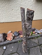 Ast Eiche Stamm Zweig Deko DIY