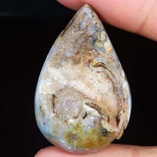 105.10 Cts Natürlich Schnecke