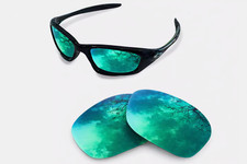 newpolar polarisierte