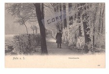 AK Halle (Saale): Peißnitzpartie um 1900 im Winter - selten