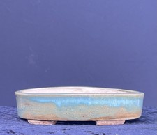 Bonsai Shohin Bonsaischale