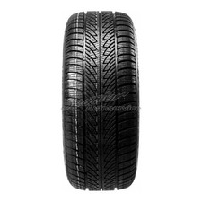 Winterreifen 225/45 R17 94V