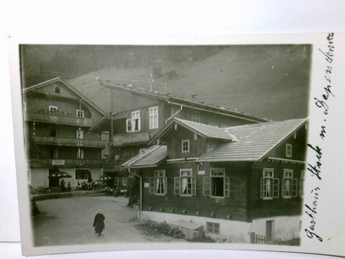 Gasthaus stock mit dependanc - gasthaus,