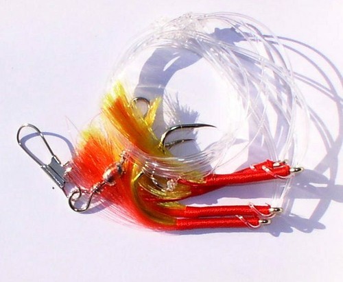 Eisele seelachs makrelen - eisele,