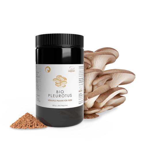 Pilze wohlrab pleurotus - wohlrab,