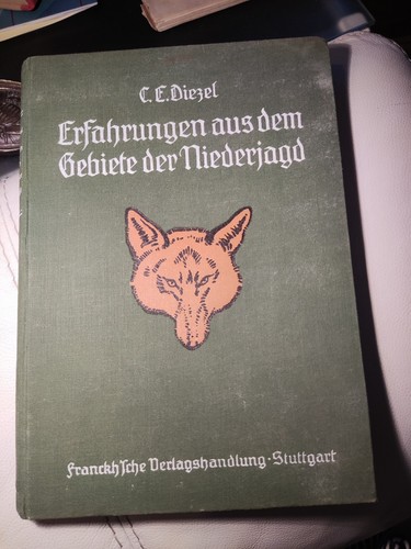 Jagd niederjagd erfahrungen - jagd,