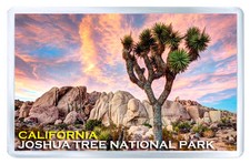 Joshua Tree National Park