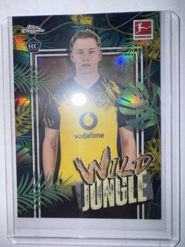 Daniel svensson wild jungle - daniel,