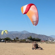 USED Ozone Buzz Z XL Glider