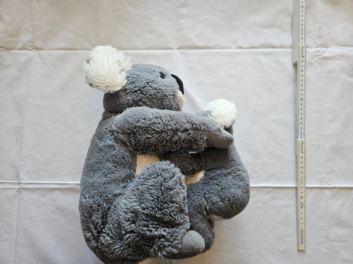 Koala bär baby - +,