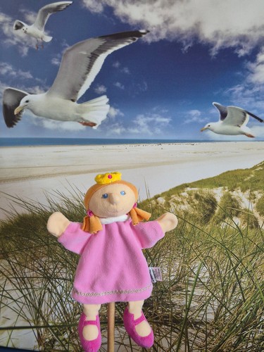Handpuppe prinzessin von - handpuppe,