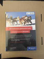 SAP Performance Optimization Guide NEU