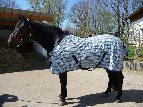 Stall transportdecke baumwolle - stall-transportdecke,