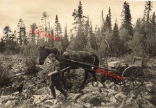 Deutscher Soldat mit Munitionswagen Eismeerstrasse bei Petsamo Lappland Finnland