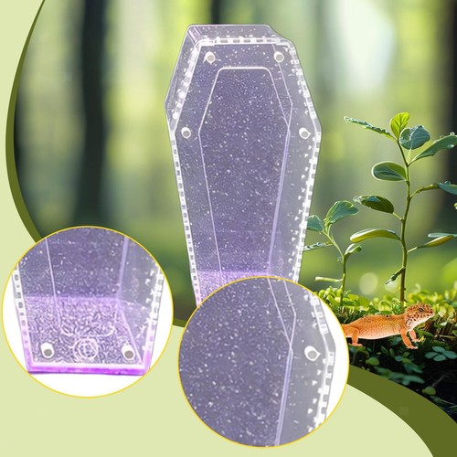 Mini reptile terrarium - reptile,