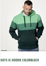 Werder Bremen Hoodie grün