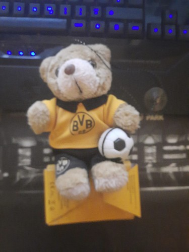 Bvb borussia dortmund teddy - borussia,