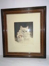 Farbradierung "Katzen" Kurt