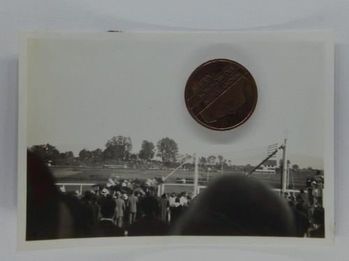 Foto baden pferderennen - foto,