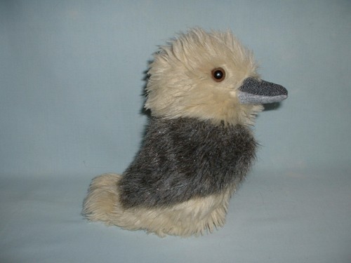 Anne australian kookaburra - anne, li