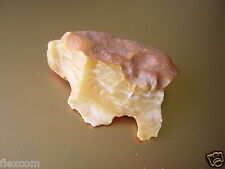 Bernstein Natur Butterscotch Weiß Rohbernstein Amber 12,7 g / 5,0 x 3,5 x 1,6 cm