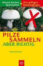 Pilze sammeln – aber richtig