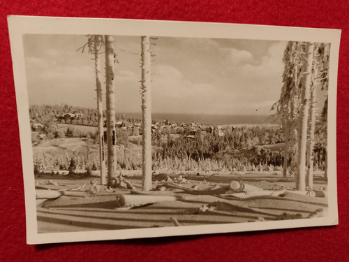 Oberhof 1955